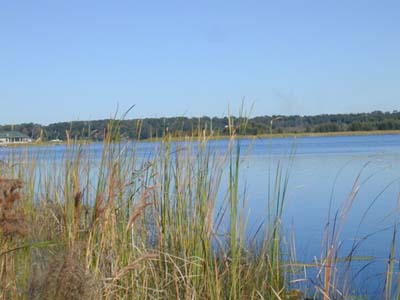  Lake Gertrude